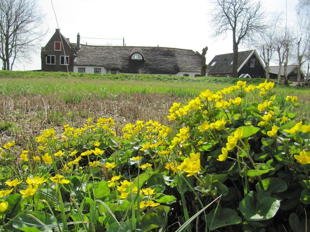 Гостьовий будинок Boerderij Honswijck Весп Екстер'єр фото