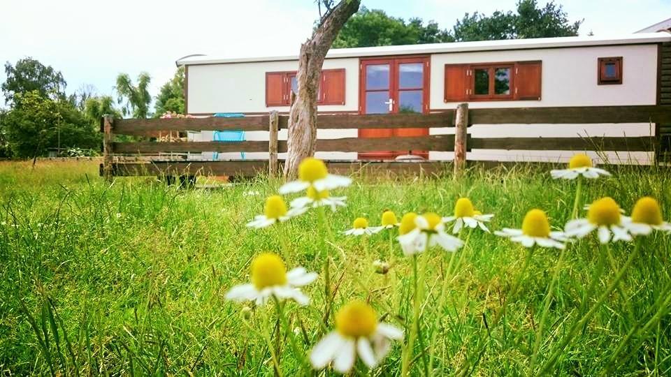 Гостьовий будинок Boerderij Honswijck Весп Екстер'єр фото